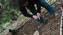 Mykologové našli v lesích na Litomyšlsku a Poličsku desítky druhů hub. Hřibů je ale zatím málo.