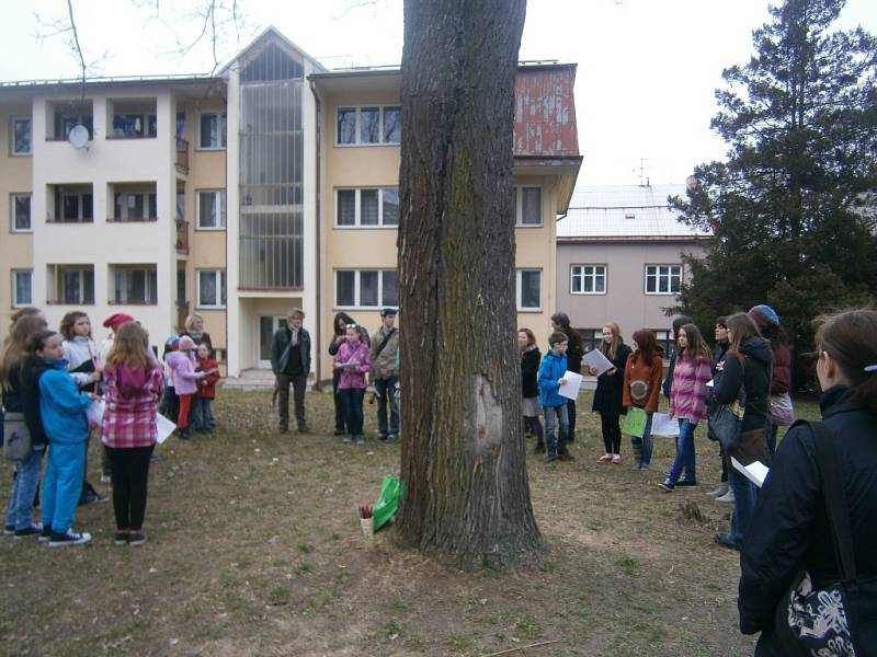 STROMY před nemocnicí brzy padnou. Symbolické rozloučení se však neneslo v pesimistickém duchu. 