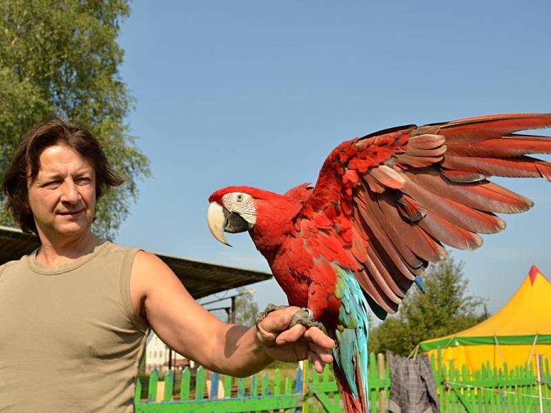 CIRKUS JO-JOO hostuje na svitavské Cihelně. 