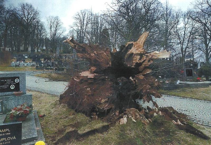 Vichřice pokácela na hřbitově v Moravské Třebové dva stromy, které zničily pět hrobů.