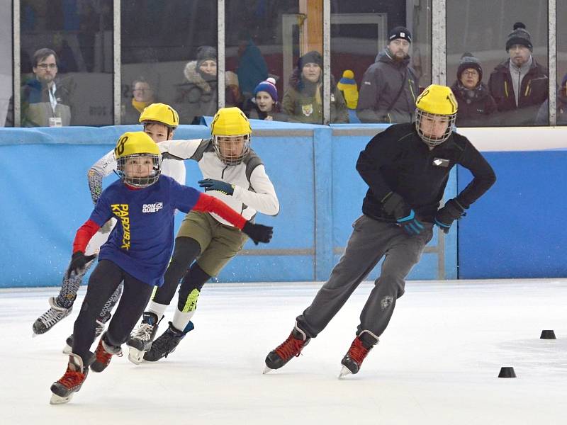 Hry VIII. zimní olympiády dětí a mládeže 2018