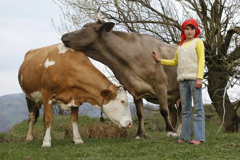 Rumunsko navštívila moravskotřebovská fotografka dvakrát. Snímky z této země jsou pro ni srdeční záležitostí.