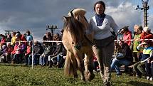 3. ročník oblastní přehlídky koní na festivalu Biskupické kaléšek v Biskupicích u Jevíčka. Divákům se představilo 20 koní.