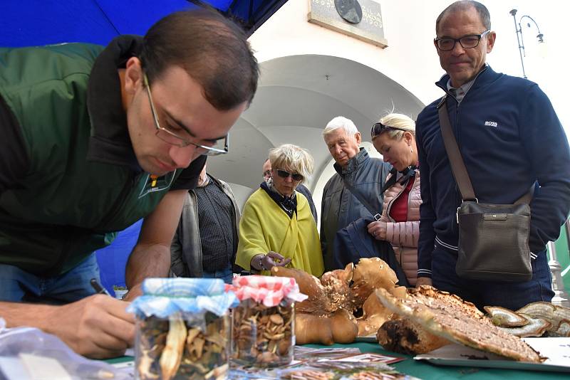 Gastrofestival v Litomyšli přilákal tisíce lidí nejen na českou klasiku, ale i na brouky a žabí stehýnka.