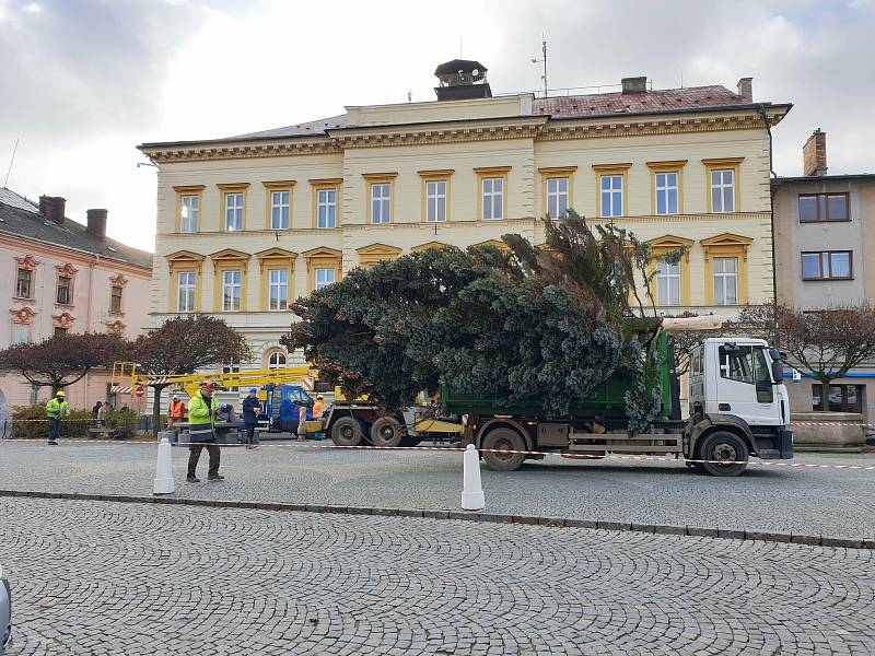 Z Rumunské ulice na náměstí Míru doputoval vánoční strom Svitav.