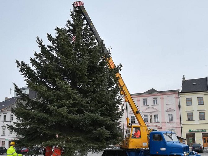 Vánoční strom pro Moravskou Třebovou