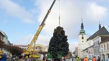 Z Rumunské ulice na náměstí Míru doputoval vánoční strom Svitav.