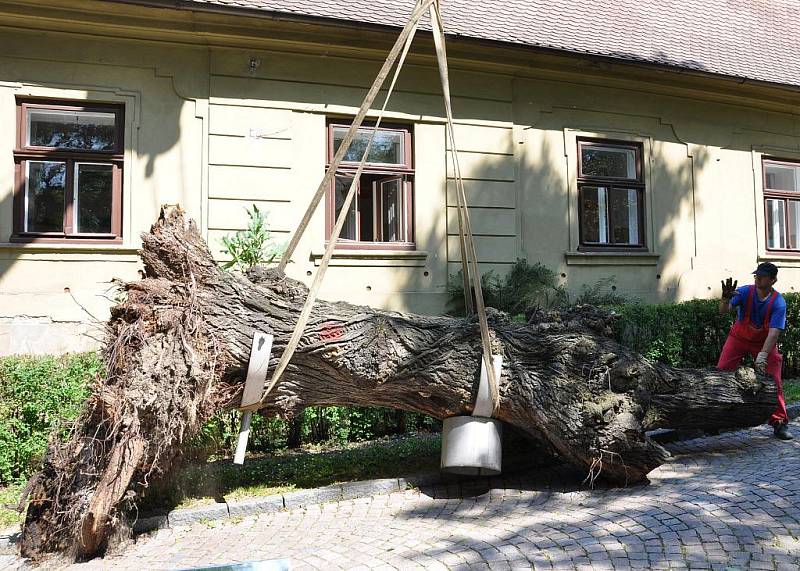 Tunové sochy navždy zmizely z Litomyšle.