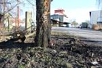Před pátou hodinou ranní došlo v Litomyšli u vlakového nádraží k vážné dopravní nehodě, kdy osobní vozidlo Škoda Fabia narazilo čelně do stromu. Vozidlo začalo po nárazu hořet a v něm zemřely tři osoby.