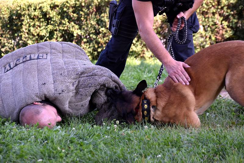 Děti v Dolním Újezdu si v neděli vyzkoušely jízdu zručnosti přes různé překážky. Akci navštívili policisté ze Svitav se služebními psy.