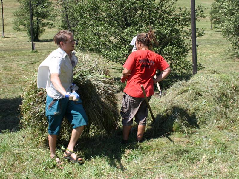 Dobrovolníci zachraňovali rostliny v chráněné oblasti Damašek.