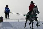 Jezdci na koních a lyžaři se sešli při horseskijöringu  v  Janově