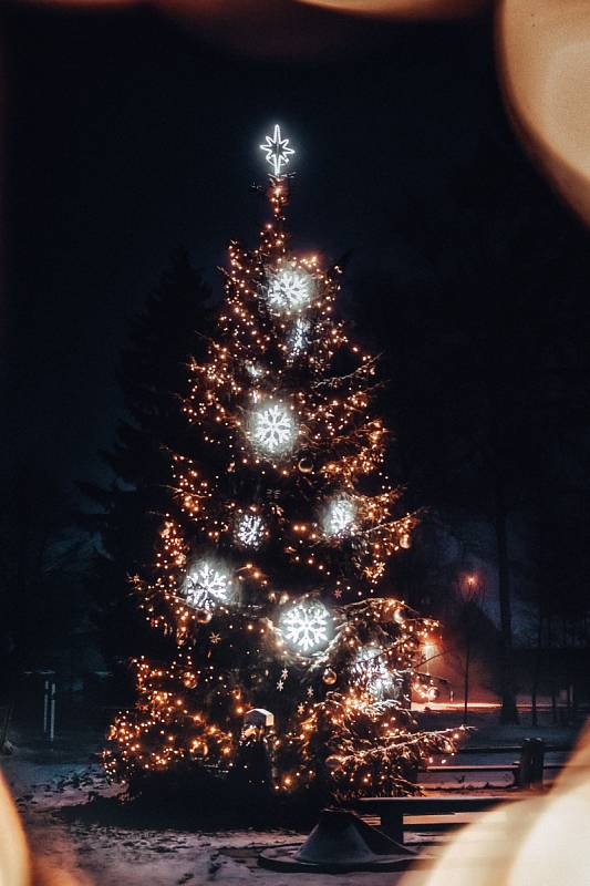 Borová u Poličky