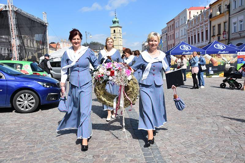 Gastrofestival v Litomyšli přilákal tisíce lidí nejen na českou klasiku, ale i na brouky a žabí stehýnka.