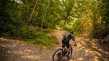 Moravská Třebová vybudovala v lesích pod rozhlednou Pastýřka 13 kilometrů tratí pro cyklisty.