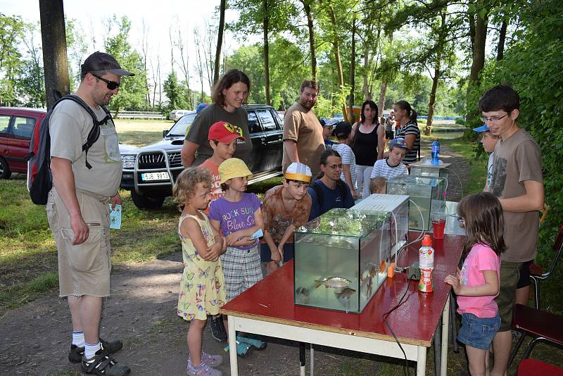 V Dolním Bousově byla slavnostně otevřena v pořadí již druhá naučná stezka. Její název je Krajinou Červenského rybníka.