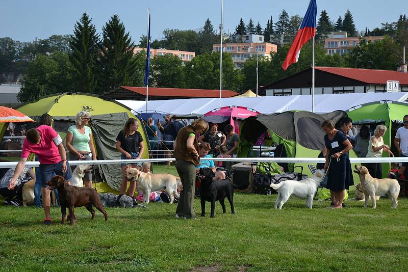 Výstava psů se konala na Krásné Louce v Boleslavi.