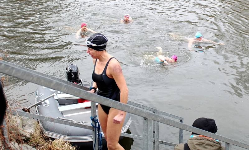 Ze třetího ročníku soutěže zimních plavců na řece Jizeře u Krásné louky v Mladé Boleslavi.