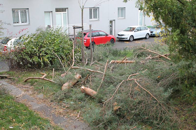 Větrná kalamita na Boleslavsku.