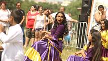 Na Krásné louce se v sobotu uskutečnil 4. Romský festival, který lákal na hudební vystoupení, ale také na několik celebrit.