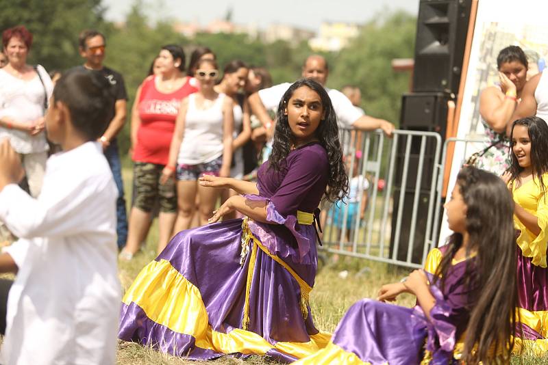 Na Krásné louce se v sobotu uskutečnil 4. Romský festival, který lákal na hudební vystoupení, ale také na několik celebrit.