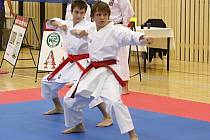 Mistrovství České republiky v karate asociace FSKA