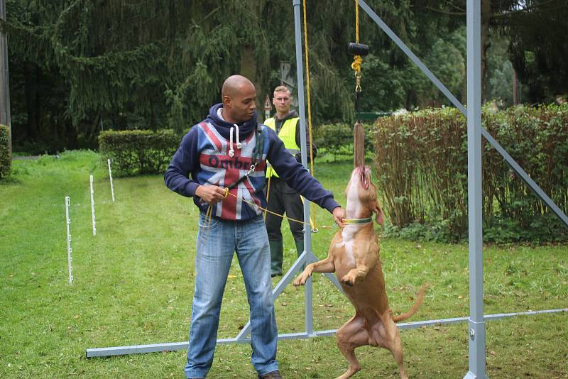 Uskutečnila se první soutěž Gladiator Games.