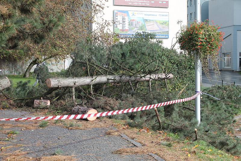 Větrná kalamita na Boleslavsku.