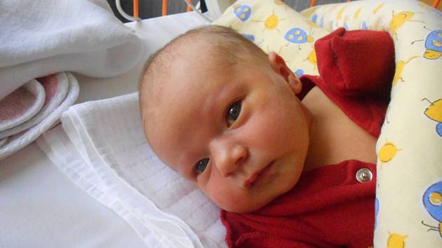 ADÉLA Pech se narodila 16. října. Vážila 3,58 kilogramů a měřila 50 centimetrů. S maminkou Polinou a tatínkem Pavlem bude bydlet v Mladé Boleslavi.