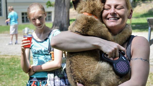 Hvězdou dětského dne, který na Černínském náměstí v Kosmonosech uspořádal zdejší Klub turistů, byla malá lví slečna. 