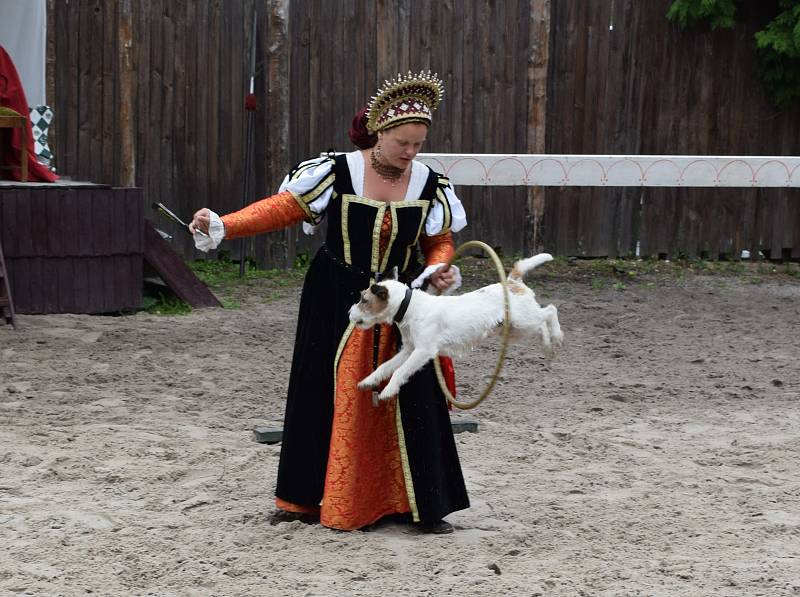 Kejklíři, akrobati, řemeslníci ale i rytíři se sjeli na hrad Kost, aby návštěvníkům předvedli své umění.