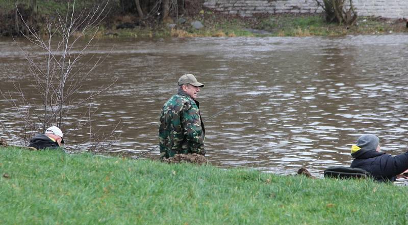 Otužilci přivítali Štědrý den koupáním v Jizeře