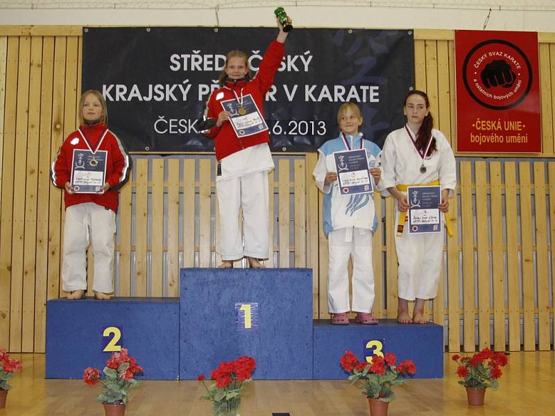 Auto Škoda - karate - krajské přebory 2013