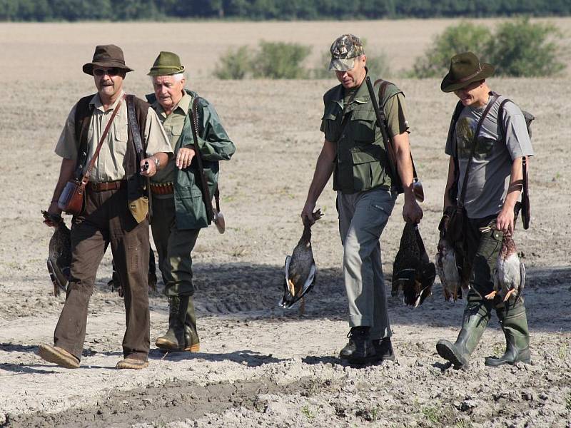 Hon na kachny v podání Mysliveckého sdružení Kněžmost na Mladoboleslavsku.