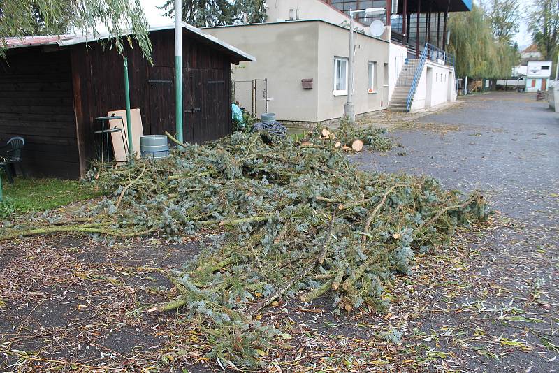 Na fotbalovém stadionu v Mnichově Hradišti dokázal vítr svou silou vyvrátit strom a utrhnout střechu.