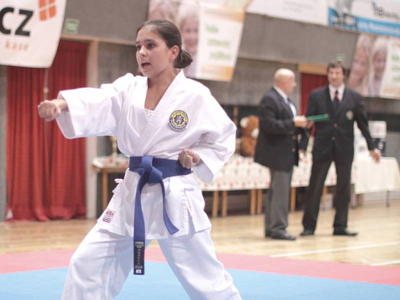 XIX.Vánoční cena Mladé Boleslavi v karate 2012