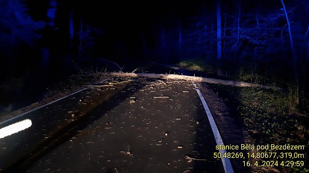 Silný vítr v noci na úterý lámal stromy. Hasiči zasahovali u desítek případů