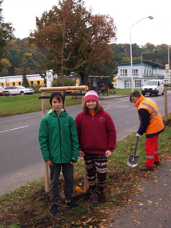 Den stromů 2015 v Mladé Boleslavi