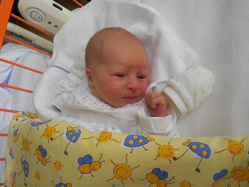 ADÉLKA Vodhánělová se narodila 18. dubna, vážila 3,29 kilogramů a měřila přesně 50 centimetrů. S maminkou  Petrou, tatínkem Lukášem a sestřičkou Aničkou bude bydlet v Dolním Bousově.