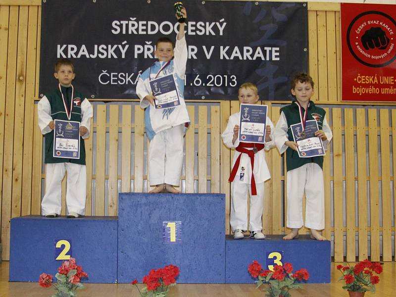 Auto Škoda - karate - krajské přebory 2013