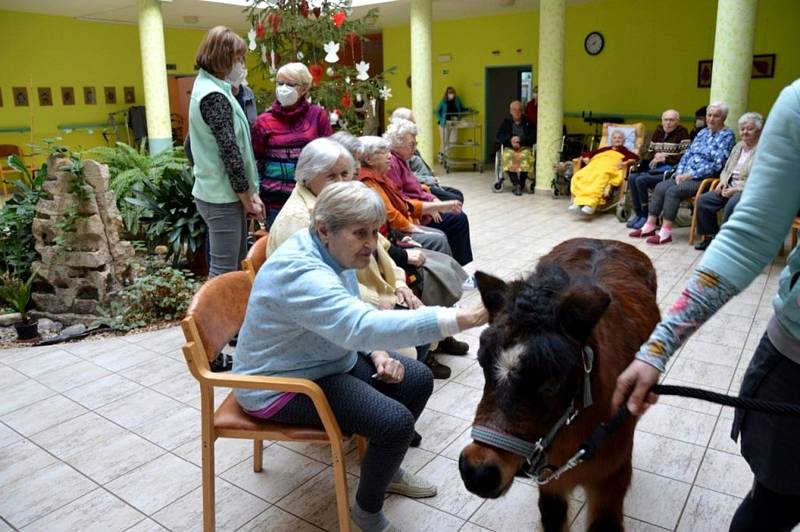 Aktivace seniorů v Domově Modrý kámen v Mnichově Hradišti.