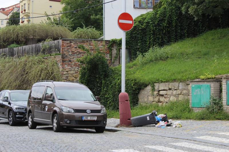 Park Štěpánka v Mladé Boleslavi.