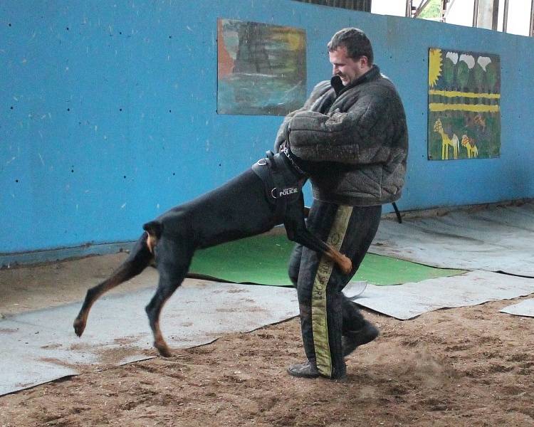 Dny duševního zdraví v Psychiatrické nemocnici v Kosmonosích nabídly i adrenalin