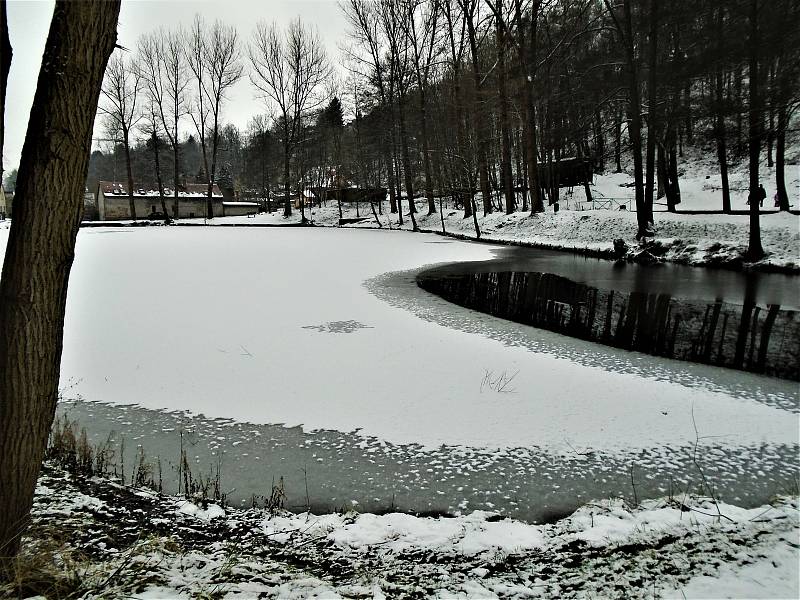 Paní Jiřina Knížková se ráda toulá okolím Bělé pod Bezdězem a fotí krajinu