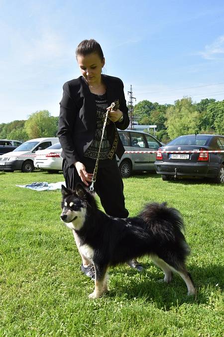 Krásná louka v Mladé Boleslavi přivítala v sobotu Klub chovatelů málopočetných plemen psů.