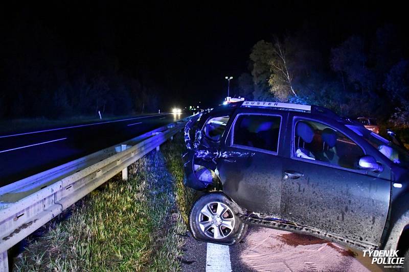 Na dálnici D10 došlo v pondělí večer k hromadné nehoda několika vozidel a stáda divokých prasat.