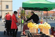 Jarní výstava v Dobrovici je předzvěstí dalších jarních trhů na Boleslavsku. Ilustrační foto. 