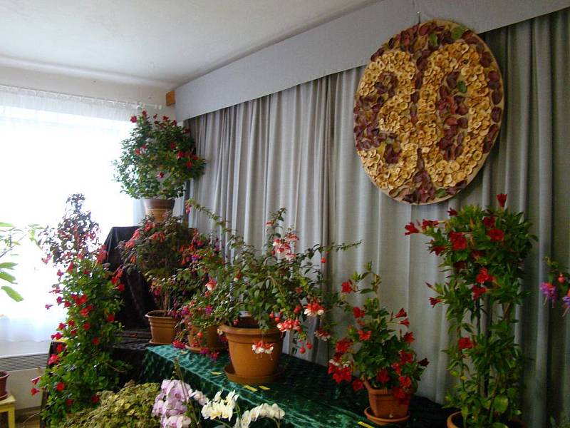 Jubilejní výstava ovoce, zeleniny a květin v Žerčicích.
