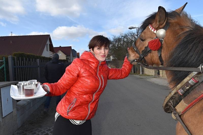 Letošního masopustního průvodu se v Kolomutech zúčastnilo 37 masek. Průvod prošel obcí v sobotu a celou akci pořádal Sportovní areál Kolomuty.