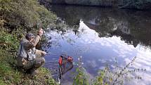 Na řece Jizeře v Mladé Boleslavi se uskutečnilo poslední třetí kolo extraligy v lovu ryb přívlačí.